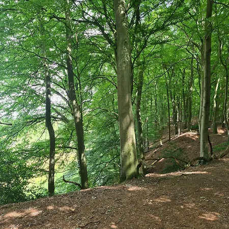 Szálloda Staehle Schüttorf