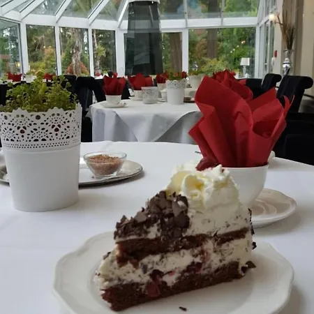 Hotel Staehle 4*